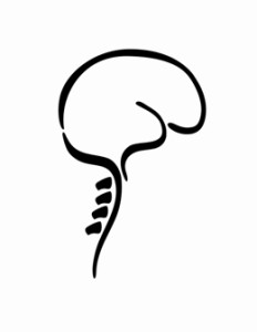 ANSPA_Logo_4_bigger